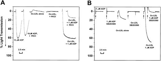 Figure 5. Effect of the PKC inhibitor, bisindolylmaleimide, and the p38 MAPK inhibitor, SB203580, on HOCl-LDL-induced aggregation. The effect of bisindolylmaleimide is shown in panel A and SB203580 is shown in panel B. ADP (10 μM); bisindolylmaleimide (PKCI, 3 μg/mL) + ADP (10 μM); HOCl-LDL alone (20 μg/mL); bisindolylmaleimide (3 μg/mL) + HOCl-LDL alone (20 μg/mL); HOCl-LDL (20 μg/mL) + 1 μM ADP; (f) HOCl-LDL (20 μg/mL) + 1 μM ADP + bisindolylmaleimide (3 μg/mL).