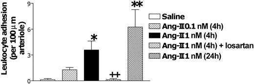 Figure 1. Effect of Ang II-induced leukocyte responses within rat mesenteric arterioles. Rats were treated intraperitoneally with saline (n = 6), 0.1 nM Ang II (n = 5), or 1 nM Ang II (n = 6). Four hours later arteriolar leukocyte adhesion was quantified. A group of animals was pretreated with losartan (n = 5) 15 minutes before intraperitoneal injections of 1 nM Ang II, and responses were evaluated 4 hours later. A final group was intraperitoneally treated with 1 nM Ang II, and 24 hours later arteriolar leukocyte adhesion was determined. Results are represented as mean ± SEM. *P < .05 and **P < .01 relative to the saline group. ++P < .01 relative to the 1 nM Ang II group.