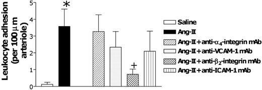 Figure 6. Effects of anti-α4-integrin, anti-VCAM-1, anti-β2-integrin, and anti-ICAM-1 mAbs on subacute (4-hour) Ang II-induced leukocyte responses within rat mesenteric arterioles. Rats were treated intraperitoneally with saline (n = 6) or 1 nM Ang II (n = 6). In other groups of animals, 15 minutes before intraperitoneal administration of 1 nM Ang II, rats were treated with anti-α4-integrin mAb (n = 5), anti-VCAM-1 mAb (n = 4), anti-β2-integrin mAb (n = 5), or anti-ICAM-1 mAb (n = 5). Four hours later, arteriolar leukocyte adhesion responses were quantified. Results are represented as mean ± SEM. *P < .05 relative to the saline group. +P < .05 relative to the 1 nM Ang II group.