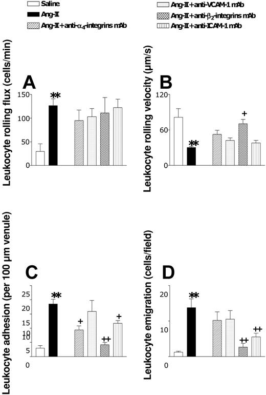 Figure 7. Effects of anti-α4-integrin, anti-VCAM-1, anti-β2-integrin, and anti-ICAM-1 mAbs on subacute (4-hour) Ang II-induced leukocyte responses within rat mesenteric postcapillary venules. Rats were treated intraperitoneally with saline (n = 6) or 1 nM Ang II (n = 6). In other groups of animals, 15 minutes before intraperitoneal administration of 1 nM Ang II, rats were treated with anti-α4-integrin mAb (n = 5), anti-VCAM-1 mAb (n = 4), anti-β2-integrin mAb (n = 5), or anti-ICAM-1 mAb (n = 5). Four hours later, responses were quantified for leukocyte rolling flux (A), leukocyte rolling velocity (B), leukocyte adhesion (C), and leukocyte emigration (D). Results are represented as mean ± SEM. **P < .01 relative to the saline group. +P < .05 and ++P < .01 relative to the 1 nM Ang II group.
