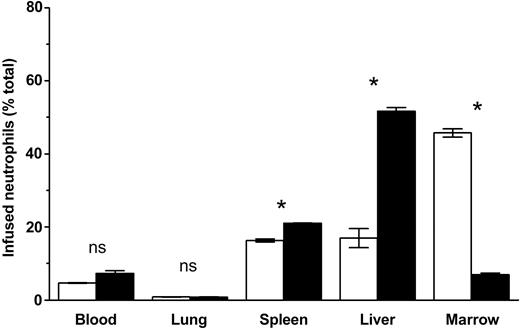 Figure 1. CXCR4 blockade decreases localization of infused labeled peripheral blood neutrophils. To examine the effects of CXCR4 blockade on circulating neutrophil retention, mice were treated with either 40 μg/mouse blocking antibody (▪) or control immunoglobulin (□) intravenously 30 minutes before indium-labeled isolated peripheral neutrophils were infused. The mice were then bled and dissected 4 hours after cell infusion, and these tissues were assayed by gamma counting. Data points are the means of 3 to 7 separate mice (± SEM). *Significantly different when compared with control-treated animals, P < .01. ns indicates not significant.