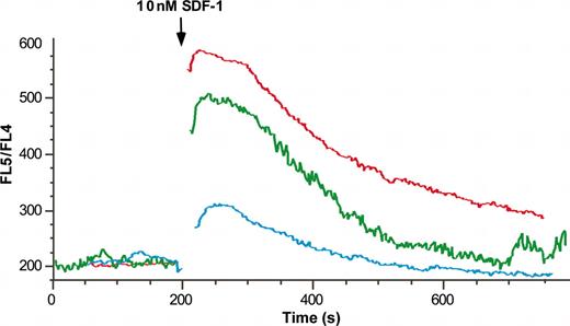 Figure 3. SDF-1α-induced calcium transient decreases with neutrophil maturation and activation. Isolated marrow (red line), peripheral (green line), and exudate (blue line) neutrophils were labeled with the fluorochrome Indo-1/am and calcium mobilization in response to 10 nM SDF-1 was assayed by flow cytometry. Results are expressed as the ratio of FL5/FL4 against time.