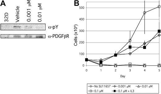 Figure 1. SU11657 inhibits TEL/PDGFβR kinase activity. (A) SU11657 inhibits TEL/PDGFβR tyrosine autophosphorylation. TEL-PDGFRB-transfected 32D cells were incubated in the presence of SU11657 or vehicle for 1 hour and protein lysates were harvested. TEL/PDGFβR was present in α-PDGFβR immunoprecipitates from TEL-PDGFRB-transfected 32D, but not untransfected control 32D cell protein lysates (left lane). Immunoprecipitates were immunoblotted using an antiphosphotyrosine antibody to determine the phosphorylation status of TEL-PDGFβR in SU11657- and vehicle-treated cells. (B) SU11657 inhibits TEL-PDGFRB-mediated factor-independent cell growth; 105 cells/mL TELPDGFRB-transfected 32D cells were grown in 0.1% SU11657 or vehicle (DMSO). Cells were plated in RPMI supplemented with 10% fetal bovine serum (FBS) and penicillin/streptomycin in the presence or absence of 1 ng/mL IL-3. Viable cells were detected via trypan blue exclusion and counted at 24-hour intervals. Experiments were performed in triplicate. Mean cell counts and SDs are shown.