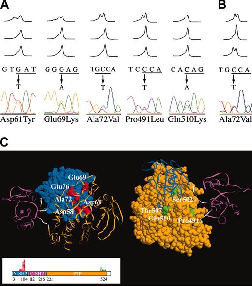 Figure 1. Somatic PTPN11 mutations in childhood acute leukemia. (A) Representative DHPLC profiles showing the occurrence of missense mutations in 5 children with B-cell precursor ALL; in all cases, mutations were observed at diagnosis (top), but were undetectable during remission, after 33 (middle) and 78 (bottom) days of follow-up. Corresponding nucleotide changes and electropherograms are also shown. (B) DHPLC profiles, and corresponding nucleotide change and electropherogram, showing the 215C>T substitution in one case with FAB-M5a identified at diagnosis (top) and relapse (bottom), but not during remission (middle). (C) Location of SHP-2 mutated residues in childhood acute leukemia. Exposed surface or Cα trace of N-SH2 (blue), C-SH2 (magenta), and PTP (orange) domains, and N-SH2/CSH2 and C-SH2/PTP linkers (gray) of the catalytically inactive conformation of SHP-2.29 The views are rotated to show the interdomain interacting surfaces and the exposed residues of the N-SH2 (left) and PTP (right) surfaces. Mutated N-SH2 residues (Asn58, Asp61, Glu69, Ala72, and Glu76) are indicated in red; mutated PTP residues (Pro491, Ser502, Thr507, and Gln510) are indicated in green. SHP-2 domain organization is shown in the boxed area. The numbers below the domain structure indicate the amino acid boundaries of those domains. Dots above the domain structure refer to number of cases with mutations documented in this study.