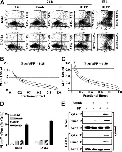 Figure 1. Bortezomib interacts synergistically with flavopiridol to induce mitochondrial dysfunction and apoptosis in CML cells. (A) K562 and LAMA84 cells were exposed to flavopiridol (FP, K562: 200 nM; LAMA: 150 nM) ± bortezomib (Btzmb or Bz, K562: 8 nM; LAMA: 5 nM) for 24 hours and 48 hours, after which the percentage of apoptotic cells was determined by Annexin V-FITC staining and flow cytometry as described in “Materials and methods.” Annexin V+/PI-corresponds to early apoptosis and Annexin V+/PI+ to late apoptosis. Numbers reflect the percentage of cells in the corresponding quadrants. Results are representative of 3 separate experiments. (B-C) K562 (B) and LAMA84 (C) cells were treated with a range of FP and Btzmb concentrations alone and in combination for 48 hours at a fixed ratio as indicated. At the end of this period, the percentage of cells exhibiting apoptotic morphology was determined by evaluation of Wright Giemsa-stained cytospin preparations for each condition; fractional effect values were determined by comparing results to those of untreated controls (Ctrl), and Median Dose Effect analysis was used to characterize the nature of the interaction. Combination index (CI) values less than 1.0 denote a synergistic interaction. An additional 2 studies yielded equivalent results. (D) K562 and LAMA84 cells were treated for 24 hours as described for panel A, after which the percentage of cells exhibiting reduced mitochondrial membrane potential (Δψm) was determined by monitoring DiOC6 uptake as described in “Materials and methods.” Results represent the means ± SDs for 3 separate experiments performed in triplicate. (E) Alternatively, cytosolic (S-100) fractions were prepared as described in “Materials and methods,” and expression of cytochrome c (cyt c) and Smac/DIABLO in cytosol was monitored by Western blot. Each lane was loaded with 30 μg protein; blots were stripped and reprobed with antiactin antibodies to ensure equal loading and transfer of protein. An additional 2 studies yielded equivalent results.