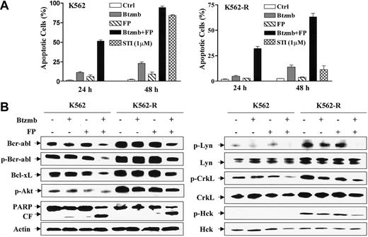 Figure 4. Imatinib mesylate resistance conferred by increased Bcr/Abl expression fails to protect K562 cells from apoptosis induced by coadministration of bortezomib and flavopiridol. (A) K562 (left) and imatinib mesylate-resistant K562-R (right) cells were treated with 8 nM bortezomib (Btzmb) ± 200 nM flavopiridol (FP) for 24 hours and 48 hours, after which the percentage of cells exhibiting apoptotic morphology was determined by evaluating Wright Giemsa-stained cytospin preparations. In parallel, K562 and K562-R cells were exposed to 1 μM imatinib mesylate (STI) for 48 hours to document imatinib mesylate resistance. Results represent the means ± SDs for 3 separate experiments performed in triplicate. (B) K562 and K562-R cells were treated for 24 hours as described for panel A, after which cells were lysed and subjected to Western blot using the indicated antibodies. CF indicates cleavage fragment. Each lane was loaded with 30 μg protein; blots were stripped and reprobed with antibodies to actin to ensure equal loading and transfer. An additional 2 studies yielded equivalent results.