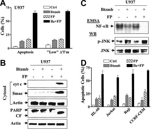 Figure 7. Cotreatment with bortezomib/flavopiridol synergistically induces apoptosis in multiple Bcr/Abl- human leukemia cells, accompanied by abrogation of NF-κB/DNA binding activity and activation of JNK. (A) U937 cells were exposed to 5 nM bortezomib (Btzmb or Bz) ± 100 nM flavopiridol (FP) for 24 hours, after which the percentage of cells exhibiting apoptotic morphology and reduced Δψm was determined by evaluating Wright Giemsa-stained cytospin preparations and monitoring DiOC6 uptake, respectively. Results represent the means ± SDs for 3 separate experiments performed in triplicate. (B) Alternatively, cytosolic (S-100) fractions and whole-cell lysates were prepared, and expression of cytochrome c and Smac/DIABLO in cytosol (upper panels) and PARP cleavage (lower panels) was monitored by Western blot. CF indicates cleavage fragment. Each lane was loaded with 30 μg protein; blots were stripped and reprobed with antiactin antibodies to ensure equal loading and transfer of protein. An additional 2 studies yielded equivalent results. (C) U937 cells were treated as described for panel A, after which nuclear extracts and cell lysates were prepared and subjected to electrophoretic mobility shift assay (EMSA, top blot) and Western blot analysis (WB, lower blots), respectively. Results are representative of 3 separate experiments. (D) Multiple human leukemia cells were exposed to bortezomib (Btzmb or Bz, HL-60, 3 nM; Jurkat, 7.5 nM; Raji and CCRF-CEM, 5 nM) ± flavopiridol (FP, 100 nM) for 24 hours, after which the percentage of cells exhibiting apoptotic morphology was determined by evaluating Wright Giemsa-stained cytospin preparations. Results represent the means ± SDs for at least 3 separate experiments performed in triplicate.