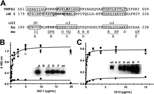 Figure 3. Epitope mapping of mAbs IAC-1 and 1D12 with human/mouse chimeras of the α2 I-domain. (A) Sequence alignment of human (hu) VWF A1, αM I, α2 I, and mouse (mo) α2 I-domain with ClustalW.19 Only murine residues that differ from the human sequence are shown. β-strands (open boxes) and α-helices (gray shaded boxes) were derived from the crystal structures.7,20,21 Replacement of residues resulting in gain-of-function mutants are in bold. Underlined regions indicate the sequences substituted to give chimeras A to F. Dilution series of mAb IAC-1 (B) and 1D12 (C) were incubated with wells coated with wild-type α2 I-domain (•) or chimeras A (♦), B (▪), C (○), D (▾), or F (▴), and mAb binding was detected with GAM-HRP. Insets: Western blots of the chimeric α2 I-domains incubated with mAb IAC-1 (B) or 1D12 (C).