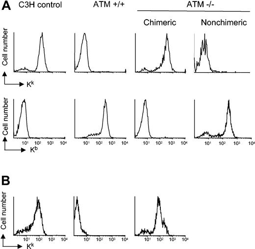 Figure 3. Atm-/- mice are more sensitive to conditioning than wild-type littermate controls. Atm-/- and Atm+/+ mice were conditioned with cyclophosphamide, anti-CD4, and anti-CD8 monoclonal antibodies and were injected with 108 C3H bone marrow cells. Sixteen weeks after BMT, PBMCs were analyzed for the presence of C3H-derived H-2Kk- or host-derived H-2b-positive cells by flow cytometry. (A) Shown are representative examples of mice 16 weeks after BMT from 1 of 3 independent experiments. Wild-type Atm+/+ mice did not show the presence of donor-derived cells in PBMCs 16 weeks after transplantation. Although most (7 of 9) Atm-/- animals became fully chimeric with more than 99% donor-derived PBMCs (Chimeric), a few (2 of 9) showed no donor-derived cells (Nonchimeric). (B) Shown are representative examples of mice 52 weeks after BMT. Note that none of the Atm-/- mice that failed to become chimeric survived to 52 weeks.