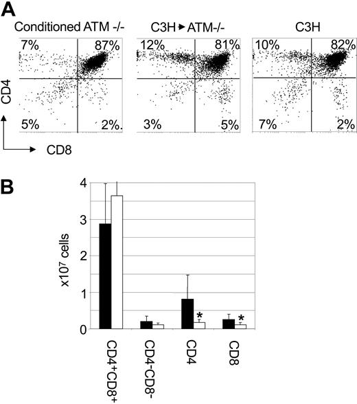 Figure 4. T-cell development is normal in Atm-/- mutant mice that receive C3H bone marrow cells. (A) Atm-/- mice were treated with anti-CD4 and anti-CD8 antibodies and cyclophosphamide before receiving 108 C3H bone marrow cells. Twelve weeks after BMT, mice were killed and thymi were analyzed by flow cytometry after cell surface staining. Shown is a flow cytometry profile from representative mice. (B) The total number of cells in each thymus was counted, and the absolute number of each thymocyte subset was calculated based on the frequency of each subset as determined by flow cytometry. Shown is the absolute number of cells in each thymocyte subset in Atm-/- mice that were engrafted with C3H bone marrow (▪) and conditioned control Atm-/- mice (□). Shown are the combined mean and standard deviation of 3 experiments.