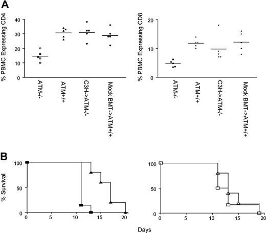 Figure 5. Restoration of lymphocyte numbers and immune function in Atm-/- mutant mice reconstituted with C3H bone marrow cells. (A) Left panel: the frequency of CD4 T cells (left panel) in PBMCs of Atm-/- mice (□), Atm+/+ mice (▵), Atm-/- mice reconstituted with C3H bone marrow (▿), and wild-type littermate controls receiving the BMT regimen (mock BMT, ⋄). Right panel: the frequency of CD8 T cells in PBMCs of Atm-/- mice (▪), Atm+/+ mice (▴), Atm-/- mice receiving C3H bone marrow (▾), and wild-type littermate controls receiving the BMT regimen (mock BMT, ♦). Horizontal bars indicate arithmetic mean. (B) Left panel: rejection of B6.CH-2bm1 skin grafts by unmodified Atm-/- recipients (▴) and Atm+/+ littermates (▪). Right panel: rejection of B6.CH-2bm1 skin graft by Atm-/- mice that received C3H transplanted bone marrow (▵) and mock BMT Atm+/+ controls (□). Shown are the results of 1 of 2 experiments.