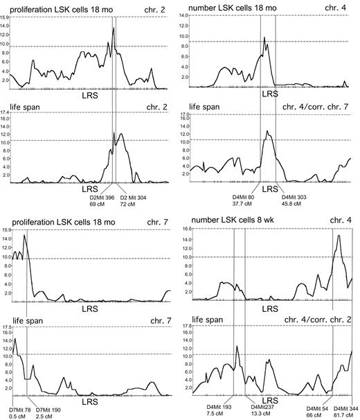 Figure 4. Interval mapping of QTL for lifespan and for the regulation of LSK cells. Likelihood ratio statistic (LRS) values (y-axis) along chromosomes 2, 4, and 7 for lifespan and for traits related to the regulation of LSK cells in BXD RI mice, mentioned on top of each panel. The dashed horizontal lines in each panel represent the lower boundaries of LRS values indicating suggestive (lower line) and significant (upper line) genome-wide significance levels as determined by permutation analysis.25,26 The 2 different panels for lifespan along chr 4 were obtained by correcting for a different primary QT locus: chr 7 in the upper right, and chr 2 in the lower right panel.