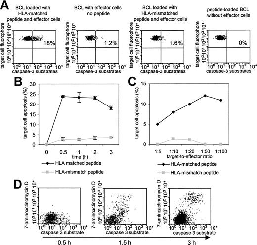 Figure 1. Evaluation of the cytotoxic activity of HIV-1-specific CD8+ T cells by use of fluorogenic caspase-3 substrates. (A) Untreated or peptide-pulsed autologous BCLs were coincubated for 60 minutes with freshly isolated PBMCs at an effector-to-target (E/T) ratio of 50:1 and subsequently stained with FITC-labeled caspase-3 substrates. Gating was performed according to fluorescence signals of the target cell fluorophore and FSC/SSC characteristics. Percentages indicate the proportion of caspase-3-positive cells. Only HLA class I-matched BCLs labeled with the specific peptide were lysed by CD8+ T cells. (B) Kinetic analysis of B8-EI8-labeled target cell apoptosis after addition of PBMCs at an E/T ratio of 50:1. The assay was run in triplicate; results indicate the mean and standard deviation (error bars), demonstrating a low (< 10%) intra-assay variability. (C) Evolution of B8-EI8-labeled target cell apoptosis following 60 minutes of coincubation with freshly isolated PBMCs from an additional study person at various E/T ratios. (D) Simultaneous assessment of caspase-3 activation and 7-aminoactinomycin uptake in B8-EI8-labeled target cells at various time points after exposure to PBMCs at an E/T ratio of 50:1.