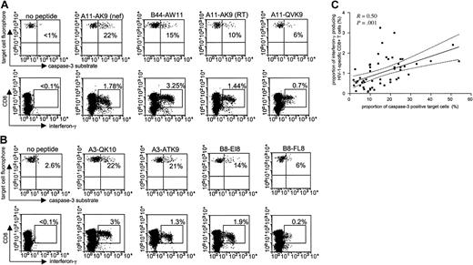 Figure 2. Comparison of interferon-γ secretion and cytotoxic activity of HIV-1-specific CD8+ T cells at the single epitope level. HIV-1-specific CD8+ T-cell responses to 5 optimal CD8+ T-cell epitopes are shown in study individuals AC-04 (A) and FW-003 (B), respectively. Percentages reflect the proportion of caspase-3-expressing target cells (top rows) and the corresponding proportion of interferon-γ-secreting CD8+ T cells (bottom rows) following co-incubation of peptide-pulsed BCL and freshly harvested PBMCs. (C) Correlation between epitope-specific interferon-γ secretion and cytotoxic activity in 53 different immune responses from 9 different study persons. Dashed lines indicate the 95% confidence intervals of the regression line.