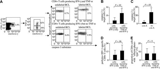 Figure 5. Cytotoxic effects of HIV-1-specific CD8+ T cells can be preferentially mediated by a subset of cells producing both interferon-γ and TNF-α in responses to viral antigen stimulation. (A) PBMCs from study subject AC-16 were stimulated for 3 hours with the viral peptide B44-AW11 (AEQASQDVKNW). After labeling with fluorogenic interferon-γ- and TNF-α-catching reagents, HIV-1-specific CD8+ T cells were sorted according to their cytokine secretion pattern. The CD8+ T-cell populations producing both interferon-γ and TNF-α or interferon-γ but no TNF-α were then selectively tested in caspase-3-based cytotoxicity assays with peptide-pulsed BCLs at an E/T ratio of 1:1. Quadrants were set according to the caspase-3 activation in unloaded target cells. (B) Target cell apoptosis following incubation with sorted subsets of HIV-1-specific CD8+ T cells secreting either interferon-γ and TNF-α or interferon-γ only. Data reflect the means and standard deviations from 5 different epitope-specific CD8+ T-cell populations in 4 study subjects. (C) Target cell apoptosis induced by sorted TNF-α- and IFN-γ-secreting HIV-1-specific CD8+ T cells that were treated with concanamycin A (con A) or not. Data indicate means and standard deviations from 3 different experiments. (D) Intracellular expression of perforin in HIV-1-specific CD8+ T cells secreting either interferon-γ and TNF-α or interferon-γ only. Means and standard deviations from 12 different CD8+ T-cell populations are shown. (E) Proportion of HIV-1-specific CD8+ T cells with “effector” phenotype (CD45RA+/CCR7-) within the subsets of cells secreting TNF-α and interferon-γ or interferon-γ alone. Data reflect means and standard deviations of 12 different CD8+ T-cell populations.