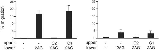 Figure 2. 2-AG-induced migration of Cb2- or EGFP-transduced murine bone marrow cells. Cb2-transduced (left) or EGFP-transduced (right) bone marrow precursors were exposed to medium with or without 300 nM 2-AG. Cells were placed in the upper well in the presence or absence of 100 nM of either Cb2 (C2) or Cb1 (C1) inverse agonist. Data represent the mean values of 3 independent experiments. Error bars indicate SD.