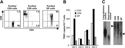 Figure 3. TREC copy number and telomere length in different T-cell subsets. (A) Purity of purified CD4+ cells, CD8+ cells, and CD4+CD8+ cells after magnetic bead separation. (B) TREC copy number was determined by real-time PCR in each subpopulation and found to be lower in CD4+CD8+ (DP) than in CD4+ and CD8+ cell populations. (C) Telomere length was determined by Southern blot in each subpopulation. Arrows indicate long telomeres for CD4+ and CD8+ cells and short telomeres for the CD4+CD8+ population.