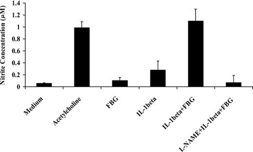 Figure 8. Effect of fibrinogen on IL-1β induced nitric oxide synthesis by endothelial cells. Confluent HUVEC monolayers were exposed to IL-1β (10 ng/mL) with or without fibrinogen (10 μg/mL) for 1 hour. Medium was then collected, and NO production was measured as nitrite concentration in the medium using the Griess reaction. Acetylcholine (3 mM) was used as a positive control, and L-NAME (3 mM) was used to inhibit NO synthesis. The results shown are mean ± SD of 3 separate experiments.