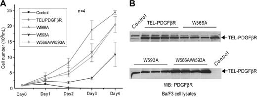 Figure 2. A single mutation at W593 drastically decreased TEL-PDGFβR-transforming activity in Ba/F3 cells. (A) IL-3 independence of distinct TEL-PDGFβR mutants in Ba/F3-derivative stable cell lines. TEL-PDGFβR variants were stably transduced into Ba/F3 cells using retroviral transduction as described in “Materials and methods.” Neomycin-resistant Ba/F3 cells stably expressing distinct TEL-PDGFβR constructs were seeded in RPMI media without IL-3 and counted daily. Ba/F3 cells transduced with empty retroviral vector were included as a control. Data presented are mean ± standard error (n = 4). (B) Expression of distinct TEL-PDGFβR variants in different applied samples of stably transformed Ba/F3 cells. Ba/F3 cells were lysed and TEL-PDGFβR proteins were detected with a rabbit polyclonal antibody recognizing PDGFβR C-terminal tail. Expression of TEL-PDGFβR in each group of 4 independent clones of Ba/F3 stable cells expressing distinct TEL-PDGFβR variants was examined.