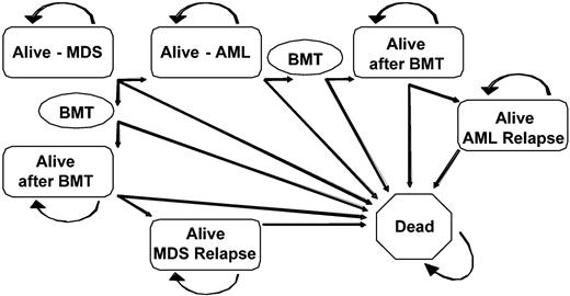 Figure 1. Markov decision model. All patients began alive in the Alive-MDS state and were able to transition after each 6-month cycle to other health states. Patients could have remained in an alive state for any number of cycles without transitioning to another health state. The BMT state was transitory and all subjects entering the BMT state transitioned to another health state by the end of the cycle. MDS indicates myelodysplastic syndrome; AML, acute myelogenous leukemia; BMT, bone marrow transplantation.