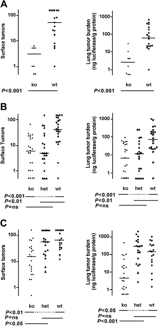 Figure 2. Effect of NF-E2 (platelet), PAR4, and fibrinogen deficiency on pulmonary metastasis in immunodeficient C.B-17 SCID mice. (A) Nf-E2-/-, (B) Par4-/-, and (C) fibrinogen (Fib-/-) mice, and appropriate controls were injected with B16-F10-luc cells via tail vein and killed 14 days later. The number of tumors visible on the lung surface (left panels) or total tumor burden as determined by lung luciferase activity (right panels) was determined. Horizontal lines indicate medians. P values were determined using Mann-Whitney test (A) or Kruskal-Wallis test with Dunn multiple comparison (B-C). ns indicates not significant; ko, knock out; het, heterozygote; and wt, wild type.