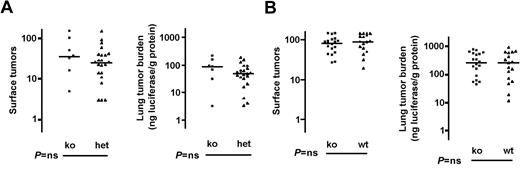 Figure 5. Effect of deficiencies in endothelial cell PARs on pulmonary metastasis. Mice deficient in PAR1 (Par1-/-, A) or PAR2 (Par2-/-, B) and littermate (PAR1) or matched (PAR2, see “Materials and methods”) controls in a C57BL/6 strain background were injected with B16-F10-luc cells via tail vein and pulmonary metastasis determined as in Figure 2. Horizontal lines indicate medians. Note that a second comparison in which Par1+/+ and -/- mice were compared (instead of Par1+/- and -/-) also showed no difference (not shown). P values were determined using Mann-Whitney test. ns indicates not significant; ko, knockout; and wt, wild type.