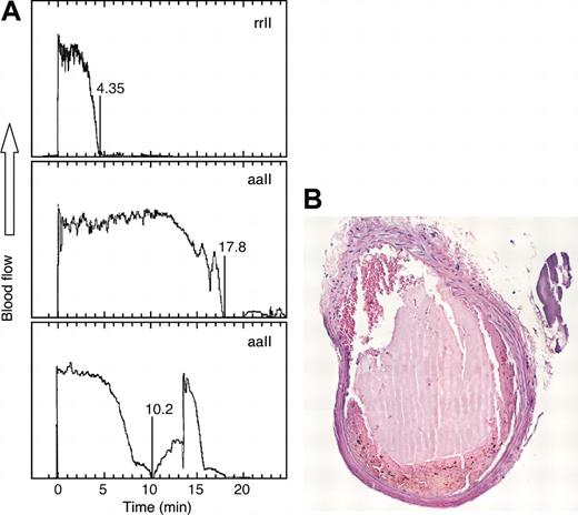 Figure 5. Arterial occlusion after FeCl3-induced injury. (A) Heterozygous Cf2+/- mice were injected with 50 μg of rrII or aaII as indicated before carotid artery injury with FeCl3 and blood flow was recorded. (B) Cross section of a carotid artery thrombus stained with hematoxylin and eosin from a mouse injected with rrII.