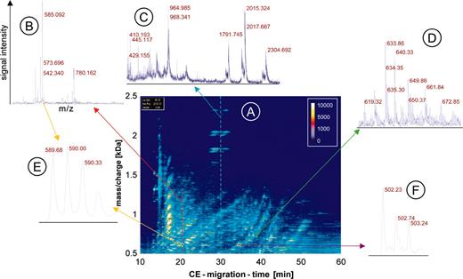 Figure 1. CE-MS data. The raw data of urine from one patient are shown to visualize the generation of the data and depict the amount of information contained in the data. An overview (A) is shown as a 3-dimensional contour plot, where the information and resolution are reduced. Mass per charge is plotted on the y-axis against CE migration time on the x-axis, with the signal intensity color coded. Each dash shown in this contour plot corresponds to a single polypeptide analyzed in the CE-MS run. To display the information content in each of the about 1000 single spectra contained in one CE-MS analysis, a magnified view of the MS data of 3 individual spectra is shown (B-D). In the spectra the signal intensity (amplitude) on the y-axis is plotted onto the mass/charge on the x-axis, as indicated in B. The cross-section on the raw data plot is shown as arrows in red (B), blue (C), or green (D). An even further magnification of MS spectra from 2 individual polypeptides reveals the high resolution of the technology used (E, yellow arrows, z = 3; and F, violet arrow, z = 2).