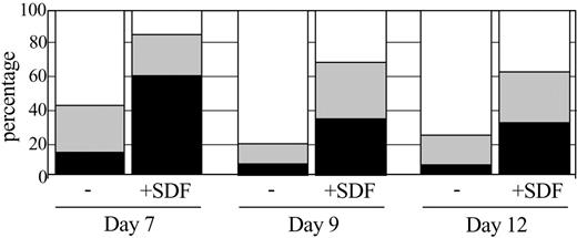 Figure 4. Effect of SDF-1 addition on G-CSF induced differentiation of 32D/G-CSF-R cells. Differential counts after 7, 9, and 12 days of culture in the presence of G-CSF (-) or G-CSF + SDF-1 (+ SDF). □ indicates the percentage of terminally matured neutrophils; ▦, the percentage of intermediately matured granulocytic cells; and ▪, the percentages of blast cells in the cultures.