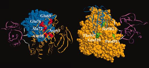 Somatic PTPN11 mutations in childhood acute leukemia. See the complete figure in the article beginning on page 307.