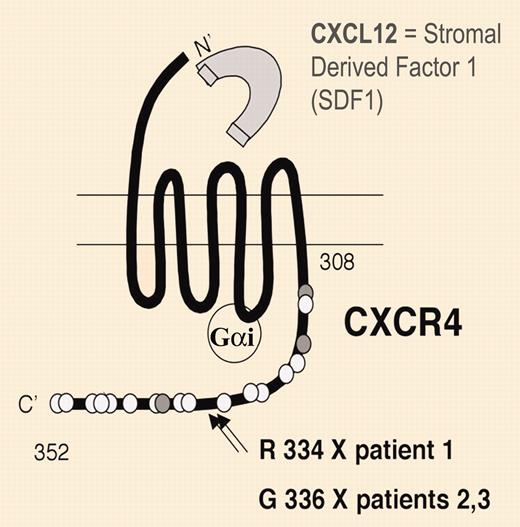 Characteristics of WHIM patients. See the complete figure in the article beginning on page 444.