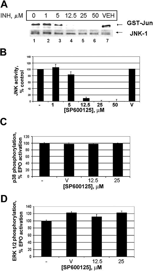 Figure 1. SP600125 inhibits JNK activity. (A) An in vitro kinase assay of JNK1 immunoprecipitates isolated from HCD57 cells cultured in the presence of EPO alone (lane 1), EPO + SP600125 inhibitor (INH; lanes 2-6), or EPO + DMSO vehicle (lane 7) for 6 hours. Phosphorylated GST-cjun fusion protein (top), and total JNK1 (bottom) are indicated. (B) Graphic representation of inhibition of JNK activity by SP600125. HCD57 cells were cultured for 6 hours with EPO alone (–), EPO + SP600125 at the concentrations indicated, or EPO + DMSO vehicle (V). JNK activity is inhibited by approximately 90% by 12.5 μM inhibitor. (C-D) Graphic representation of effect of SP600125 on p38 (C) and ERK1/2 (D) phosphorylation. HCD57 cells were treated in EPO alone (–), EPO + DMSO vehicle (V), or EPO + 12.5 μM or 25 μM SP600125 for 6 hours. For ERK1/2 phosphorylation (D), HCD57 cells were deprived of EPO for 4 hours prior to treatment with SP600125 inhibitor for 30 minutes followed by stimulation with 10 U EPO/mL for 10 minutes. For panels C and D, phosphorylation is shown as percent phosphorylation compared with EPO treatment alone. Shown are the quantitative results of 2 independent phospho-p38 and ERK1/2 Western blots corrected against total p38 and ERK1/2 expression. Error bars represent standard error from the mean.