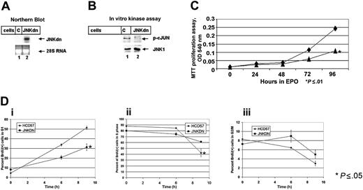 Figure 4. Expression of dominant-negative JNK (JNKdn) inhibits proliferation of HCD57 cells. (A) Northern blot analysis of HCD57 cells either untransfected (lane 1) or transfected with JNK1dn (lane 2). Expression of the JNK1dn is indicated (arrow). Ethidium bromide–stained 28S RNA is shown to indicate equal loading of RNA (bottom). (B) In vitro kinase assay of JNK1 immunoprecipitates isolated from untransfected HCD57 cells (lane 1) or HCD57-JNK1dn transfected cells (lane 2). Phospho-cjun (top) and total JNK1 (bottom) are indicated. (C) Proliferation of HCD57 (♦) or HCD57-JNK1dn (▴) cultured in the presence of EPO for the number of hours indicated as assessed by MTT assay. (D) Cell-cycle progression of HCD57 (♦) and HCD57-JNK1dn (▪) as determine by BrdU pulse-chase labeling. The percentage of the BrdU+ cells entering G1 (i), exiting S phase (ii), or entering G2/M (iii) are plotted against time. Graphs represent triplicate samples and error bars represent standard deviation from the mean.