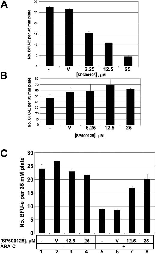 Figure 6. Effect of inhibition of JNK activity on primary murine erythroid cells. Murine bone marrow cells were incubated in the presence of EPO with no addition (–), DMSO vehicle (V), or SP600125 inhibitor in semisolid media as indicated. The number of BFU-e's (A) and CFU-e's (B) were counted 8 days and 2 days after the start of the experiment, respectively, and are expressed as number of colonies detected per 35-mM plate. Whereas the number of BFU-e's was reduced approximately 5-fold in the presence of 25 μM SP600125 inhibitor, the number of CFU-e's was not significantly affected by the presence of the inhibitor. (C) Bone marrow cells were pretreated with DMSO vehicle (columns 2 and 6), 12.5 μM SP600125 (columns 3 and 7), or 25 μM SP600125 (columns 4 and 8) for 6 hours prior to addition of nothing (columns 1-4) or 10 μM ara-C (columns 5-8) for 1 hour. The cells were then plated on methylcellulose media containing EPO but no inhibitors. ara-C–induced cell death of BFU-e's (lanes 5 and 6) and pretreatment with the SP600125 inhibitor prevented this cell death (columns 7 and 8), indicating slowing of proliferation. Error bars represent standard deviation from the mean.