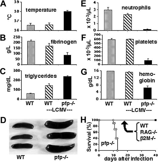 Figure 1. LCMV-infected pfp–/– mice display clinical and laboratory features of HLH. Wild-type and pfp–/– mice were infected with LCMV-WE. Eight to 12 days after infection, these animals and uninfected wild-type mice were assayed for (A) temperature, (B) plasma fibrinogen, (C) serum triglycerides, (D) spleen size, (E) peripheral blood neutrophil counts, (F) platelet counts, and (G) hemoglobin. The spleen photo in panel D portrays uninfected wild-type spleens and infected pfp–/– spleens. (H) Survival of mice was monitored after LCMV infection of wild-type, RAG–/–, β2m–/–, and pfp–/– mice. Data shown (± standard error) are representative of at least 2 experiments with at least 3 mice in each group.