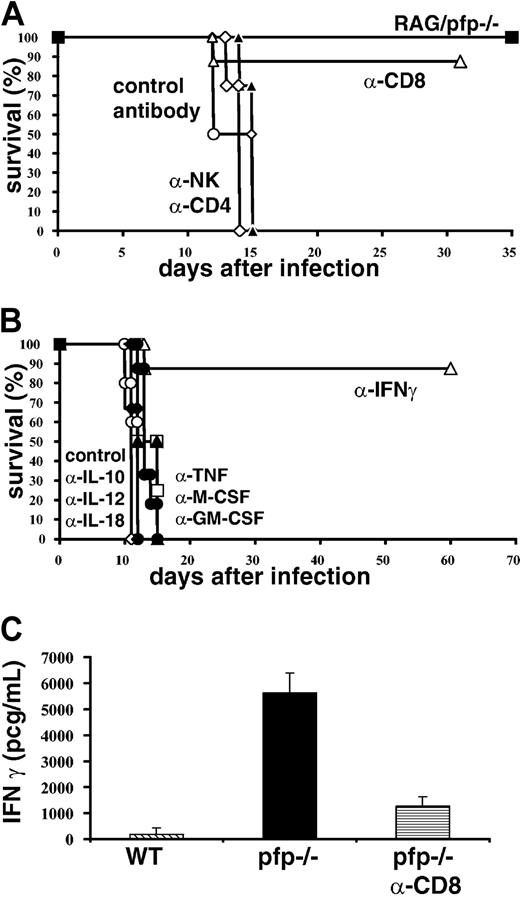 Figure 4. Both CD8+ T cells and IFNγ are necessary for the development of an HLH-like disorder in LCMV-infected pfp–/– mice. (A) Pfp–/– mice were treated with control, CD4, CD8, or NK cell–depleting antibodies starting 6 days after LCMV infection and were monitored for survival. RAG/pfp–/– mice were infected with LCMV and monitored for survival. (B) Pfp–/– mice were infected with LCMV and given cytokine-neutralizing antibodies (against TNF-α, IFNγ, M-CSF, GM-CSF, IL-10, IL-12, and IL-18) starting on day 6 and were monitored for survival. (C) Serum IFNγ levels were assayed on day 12 from wild-type, control antibody–treated pfp–/– mice, and pfp–/– mice that had received anti-CD8 antibody. Data (± standard error) are representative of at least 2 experiments with at least 3 mice in each group.
