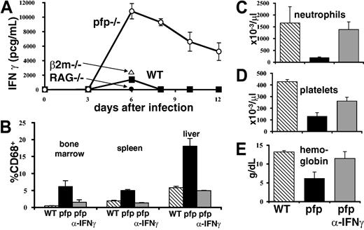 Figure 5. IFNγ is intimately associated with the development of HLH-like pathology in LCMV-infected pfp–/– mice. (A) Serum IFNγ levels were assayed in wild-type, pfp–/– RAG–/–, and β2m–/– mice at various times after LCMV infection. (B) Twelve days after LCMV infection, tissues were analyzed by flow cytometry for the relative percent of macrophage-lineage (CD68+) cells in wild-type, pfp–/–, and pfp–/– mice that had received anti-IFNγ antibody. Peripheral blood (C) neutrophil, (D) platelet, and (E) hemoglobin levels were assayed in the same groups. Data (± standard error) are representative of at least 2 experiments with at least 3 mice in each group.