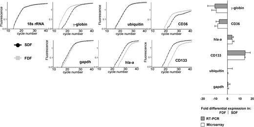 Figure 3. Confirmation of differential expression by real-time RT-PCR. Semiquantitative RT-PCR by LightCycler analysis was used to verify differential gene expression of 7 genes in FDF and SDF in relation to 18s rRNA. HLA-A and CD133 were higher expressed in the SDF. γ-Globin, CD36, and cadherin-e (not shown) were more highly expressed in the FDF. GAPDH and ubiquitin did not show significant differential expression and were used as additional controls. All figures belong to the same run of 1 RNA sample. A high correlation between RT-PCR and microarray analysis was observed. Error bars represent SD of at least 3 experiments.