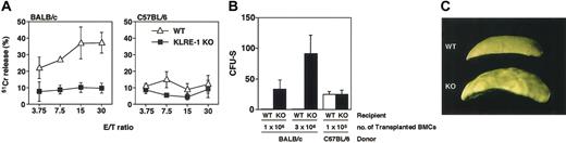 Figure 2. KLRE-1 plays a pivotal role in allogeneic bone marrow transfer. (A) Cytotoxic activity against allogeneic Con A blasts using KLRE-1–deficient cells. Cytolytic activity of LAK cells containing activated NK cells from wild-type C57BL/6 (WT, ▵) and KLRE-1–deficient (KLRE-1 KO, ▪) mice was assessed. Representative data from 3 independent experiments (n = 5/experiments) are shown as means ± SD. (B-C) KLRE-1 KO mice fail to reject BM allograft. (B) BALB/c BM cells (1 × 106 or 3 × 106 cells) or C57BL/6 BM cells (1 × 105 cells) were intravenously infused to lethally irradiated age-matched wild-type or KLRE-1–deficient C57BL/6 mice. At 8 days after transplantation, spleens were removed and the number of colonies on the spleen was counted. Representative data from the 3 independent experiments are shown. Data are indicated as means ± SD of 5 individuals per experiments. (C) Representative picture of allograft-induced colony formation in the spleen of KLRE-1 knock-out mice. Colony formation resulting from the BALB/c BM allograft as described in panel B can be observed on the spleen of lethally irradiated KLRE-1 null mice (KO), but not on that of C57BL/6 mice (WT) after the fixation in the Bouin solution. The photo was taken with a Nikon digital camera (Cool Pix 995) and processed with Adobe Photoshop.