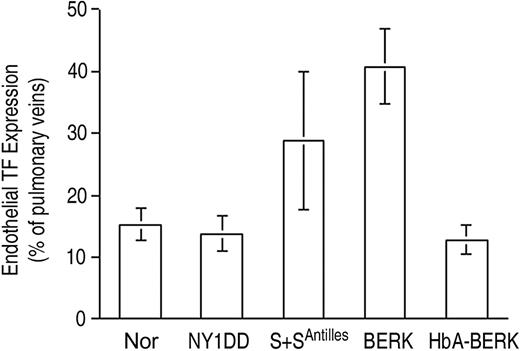 Figure 3. Endothelial TF expression in pulmonary veins. TF expression is scored as percent of pulmonary veins positive for TF (mean ± SD). Normal mice (Nor), HbA-expressing control mice (HbA-BERK), and mild sickle mice (NY1DD) have the same low-TF expression. TF expression by the moderately severe S+S-Antilles mouse is higher, and that of the severe BERK mouse is the highest. Statistical significance: P = ns (not significant) for NY1DD (n = 10) versus Nor (n = 9); P = .004 for S+S-Antilles (n = 4) versus Nor (n = 9); and P < .001 for BERK (n = 5) versus HbA-BERK (n = 5).