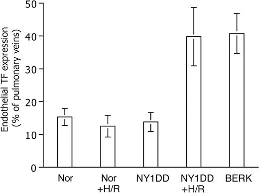Figure 4. Effect of hypoxia-reoxygenation (H/R) on TF expression. Data are expressed as for Figure 3. H/R does not increase TF expression in the normal (Nor) mouse, but it converts the mild sickle mouse (NY1DD) to the severe, BERK-like TF-positive phenotype. Statistical significance: P < .001 for posthypoxia NY1DD (n = 9) versus prehypoxia NY1DD (n = 10); and P = ns for posthypoxia NY1DD (n = 9) versus BERK (n = 5); and P = ns for posthypoxia Nor (n = 11) versus prehypoxia Nor (n = 9).