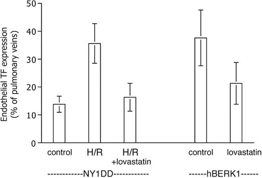 Figure 5. Lovastatin inhibits TF expression. Data are expressed as for Figure 3. The elevated TF expression of the posthypoxic NY1DD mouse is inhibited by a 5-day pretreatment with lovastatin. The elevated TF expression of the severe hBERK1 mouse at ambient air is inhibited by a 2-week pretreatment with lovastatin (n = 8). Statistical significance: P < .001 for posthypoxic NY1DD animals with (n = 6) versus without (n = 9) lovastatin; P = .002 for hBERK1 animals with (n = 8) versus without (n = 9) lovastatin.
