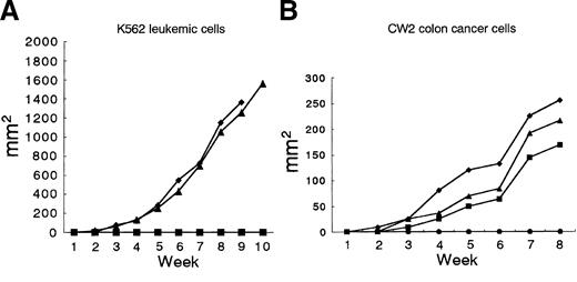 Figure 4. CD94-expressing cells expanded from G-PBMCs prevent growth of K562 leukemic cells and CW2 colon cancer cells in NOD/SCID mice. (A) Mice were subcutaneously injected with 2 × 107 K562 cells only (♦ and ▴; died after 9 and 13 weeks, respectively) or with 1 × 107 CD94-expressing cells (2 mice, ▪, survived more than 30 weeks). (B) Mice were subcutaneously injected with 1 × 107 CW2 colon cancer cells only (♦, ▴, and ▪; died after 9, 9, and 14 weeks, respectively) or with 0.5 × 107 CD94-expressing cells (3 mice, •, survived more than 30 weeks).
