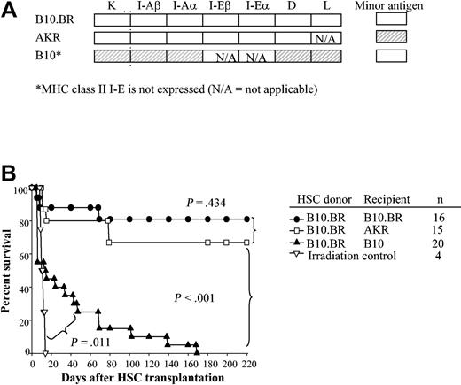 Figure 2. HSCs engraft long term in MHC-matched but not MHC-disparate recipients. (A) Degree of MHC matching between donor and recipient is shown. The shading denotes the genetic disparity between B10.BR HSC donor and recipients (□ indicates k haplotype; ▨, b haplotype). (B) Kaplan-Meier survival curves of recipients of 5000 syngeneic HSCs (B10.BR → B10.BR); MHC-matched but minor antigen–mismatched (B10.BR → AKR); and MHC-disparate but minor antigen–matched (B10.BR → C57BL/10) HSCs following conditioning with 950 cGy TBI. P values denote significance estimates.