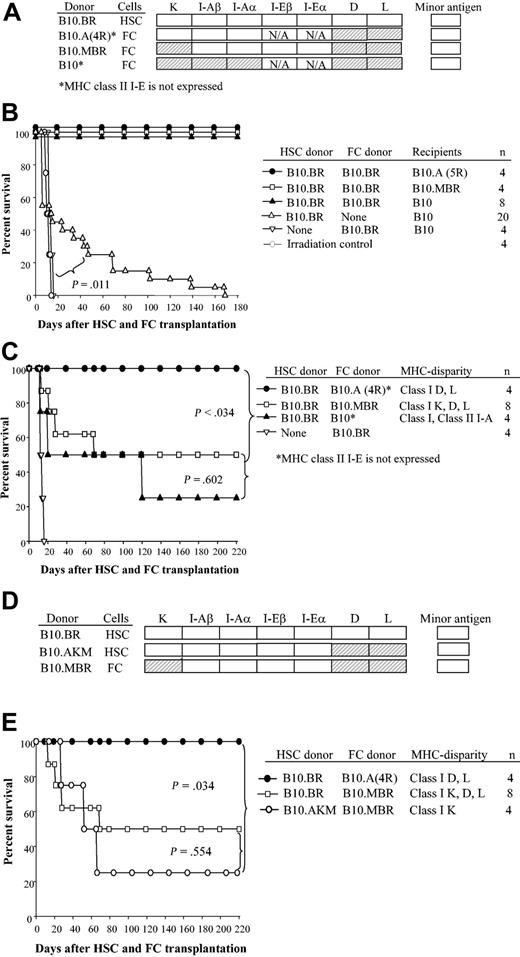 Figure 4. FCs matched to HSCs at class I K enable engraftment in allogeneic recipients. HSCs (5000) and FCs (30 000) were sorted from donors disparate at the indicated MHC loci, mixed, and transplanted into allogeneic B10 recipients. (A) Shading shows the MHC disparity between FC donor and HSC donor. (B) Survival of recipients of HSCs plus FCs or FCs alone from B10.BR. (C) Survival of recipients given B10.BR HSCs (H-2k) plus FCs from B10.A(4R) donors (MHC disparate to HSCs at class I D and L and also lacking class II I-E expression), from B10.MBR donors (MHC disparate to HSCs at class I K, D, and L), and from H-2 disparate C57BL/10 (H-2b) donors. (D) MHC disparity between HSC and FC donors used in experiments shown in panel E. (E) Survival curve of B10 recipients given HSCs and FCs that were mismatched only at class I K (B10.AKM HSCs plus B10.MBR FCs).