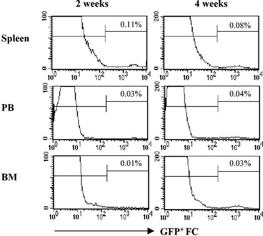 Figure 8. FCs persist in allogeneic animals after transplantation. C3H mice were conditioned with 950 cGy TBI and received transplants of 5000 KSL HSCs with or without 30 000 EGFP+ FCs. Mice were killed at 2 and 4 weeks, and EGFP+ FCs (CD8+/TCR-) were enumerated in spleen, peripheral blood (PB), and bone marrow. A minimum of 1 × 106 events was analyzed. % reflects percent of GFP+ FCs in lymphoid gate. A minimum of 3 mice were analyzed per time point.