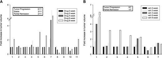 Figure 5. Fold increase in tumor volume of PS-341–treated and untreated tumors in Tax transgenic animals. Tax-positive and Tax-negative mice were injected with drug or vehicle thrice weekly via the subcutaneous route as described in “Materials and methods.” Tumor volumes were measured on Tax tumor–positive mice every other week for 8 weeks during the treatment using vernier calipers. The fold increase in tumor volume at 0 week at the start of treatment compared to that at different time intervals is depicted here for 0, 2, 4, 6, and 8 weeks of treatment. Tax-negative mice received drug as a control for toxicity. The numbers correspond to different mice with tumors treated with either PS-341 or vehicle. Mice exhibiting tumor volume increases of 25% or more of initial volume were considered to be tumor progressors, those with 50% or more overall decrease were considered to be partial remissions, and all forms of tumors in between indicate a stable disease. The statistical significance of the response to PS-341 treatment on tumor growth was evaluated by a paired t test: P ≤ .9 for vehicle treated compared to PS-341 treated groups.