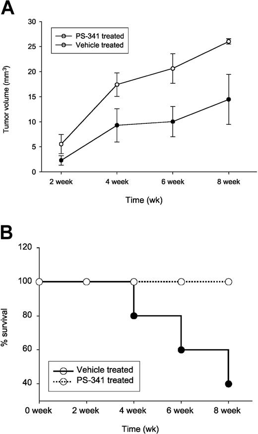 Figure 6. Inhibition of tumor growth in mice given transplants of Tax tumor. (A) Five Rag-1 immunodeficient mice at 8 weeks of age in each group were injected with SC cells subcutaneously and 2 days later were treated with PS-341 similarly for 8 weeks as described in Figure 5. The tumor volumes for all animals in each group at weeks 2, 4, 6, and 8 are plotted with SE measurements. The statistical significance of the response to PS-341 treatment on tumor growth was evaluated by a paired t test: P ≤ .01 for vehicle treated compared to PS-341 treated groups. (B) Survival curves of animals under PS-341 or saline treatments were monitored and statistical significance determined using a paired t test: P ≤ .05 for vehicle-treated compared to PS-341–treated groups.