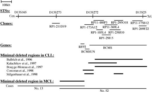 Figure 5. Minimal deleted region in band 13q14. The region between markers D13S165 and D13S25 and the relative positions of the BAC and PAC clones is shown. In addition, the positions of candidate genes in CLL and MCL and the minimal deleted regions defined in previous studies for CLL are illustrated (Bullrich et al,52 Kalachikov et al,53 Bouyge-Moreau et al,54 Corcoran et al,55 and Stilgenbauer et al56). In comparison to CLL, the consensus region in MCL, as defined by cases 13 and 52, is more centromeric.