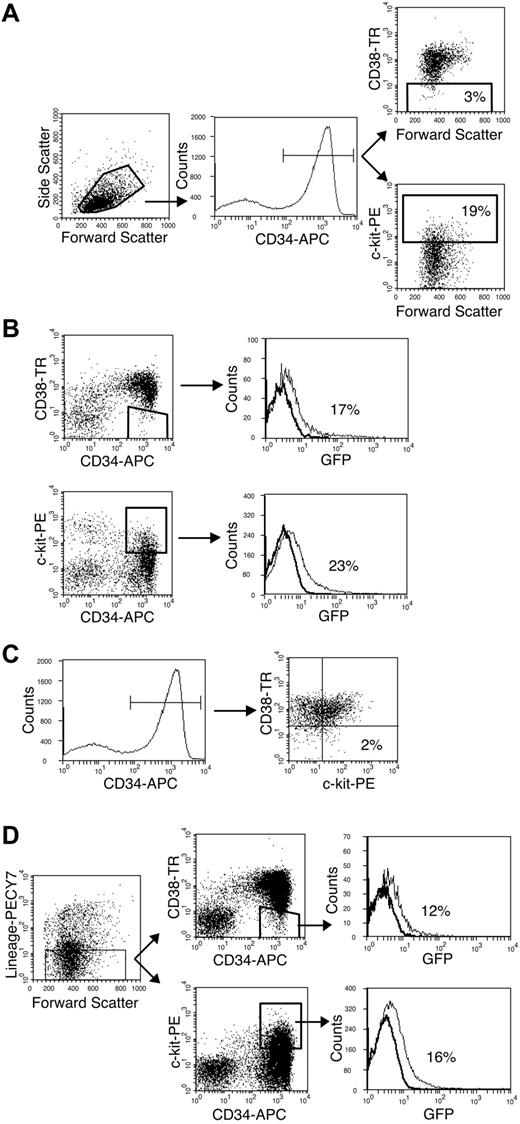Figure 1. Primitive CD34+/CD38– and CD34+/c-kit+ populations are infected by HCMV in vitro. Flow cytometry was used to analyze subpopulations of the CD34+ compartment infected with HCMV in vitro. (A) CD38– and c-kit+ cells (gated populations on respective dot plots) constitute 3% and 19% of the CD34+ population (gated population on histogram), respectively. (B) CD34+/CD38– and CD34+/c-kit+ populations are infected with similar efficiency. Histograms indicate the distribution of infected (GFP+) cells in the gated region of the preceding dot plot. (C) CD38– and c-kit+ cells within the CD34+ compartment are distinct. Only 2% of CD34+ cells (gated population on histogram) are c-kit+ and CD38– (dot plot). (D) Lineage-negative cells (gated region on dot plot) expressing the CD34+/CD38– or CD34+/c-kit+ phenotypes (respective gated regions on dot plots) are infected by HCMV. Histograms indicate the distribution of infected cells (GFP+) in the gated populations of the preceding dot plots.